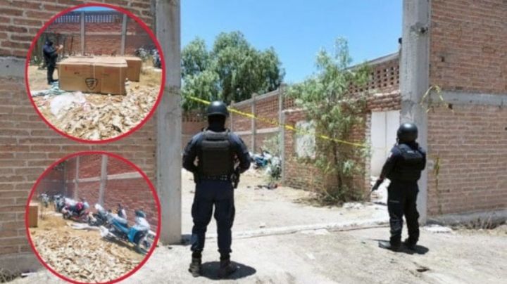 Encuentran 20 Itálikas nuevas abandonadas en terreno
