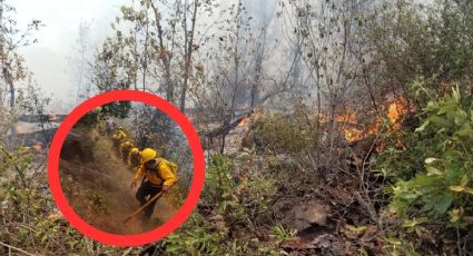 El incontrolable incendio que avanza y consume bosque en Michoacán