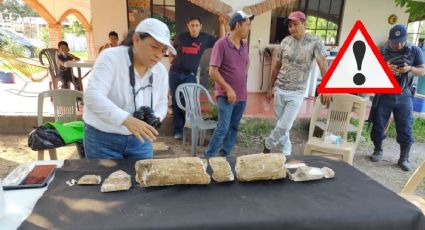 Sorprende hallazgo en Cerro Azul, Veracruz ¿Mamut? ¿Dinosaurio? Esto se sabe