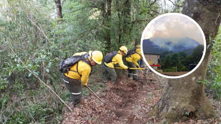 Siguen activos los incendios forestales en las Altas Montañas de Veracruz; suman 3