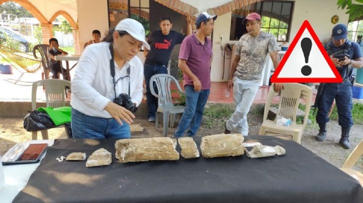 Sorprende hallazgo en Cerro Azul, Veracruz ¿Mamut? ¿Dinosaurio? Esto se sabe