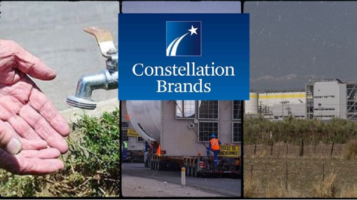 Estas son las promesas de Constellation Brands por planta en Veracruz