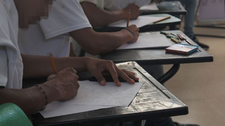 Normalización de la violencia en escuelas,  fenómeno presente en México: Reinserta
