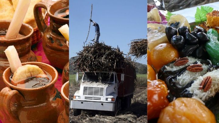 ¡Azúcar! Veracruz, primer lugar productor de caña en todo México