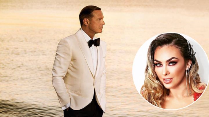 ¿Luis Miguel está en el Registro de Deudores Alimentarios?