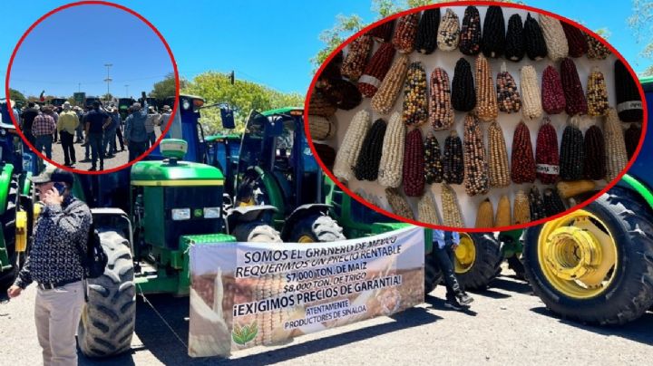 PRI se lanza contra gobierno federal; exige apoyo a productores de granos