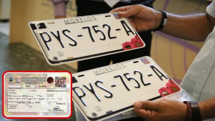 La verdadera RAZÓN por la que Morelos se queda sin placas y sin tarjetas de circulación