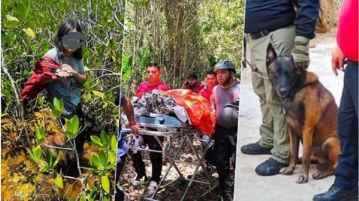 Iris de 13 años fue hallada en selva de Quintana Roo; perro rescatista la encontró