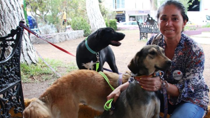 “No puedo ser indiferente al dolor de un perro abandonado”: rescatista hidalguense