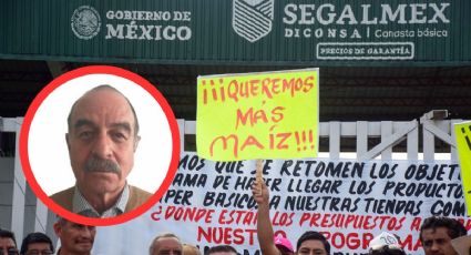 Corrupción en Segalmex: ¿por qué liberan a funcionarios?