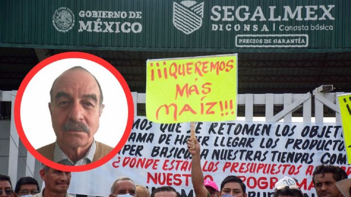 Corrupción en Segalmex: ¿por qué liberan a funcionarios?