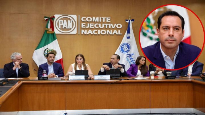 Vila Dosal convoca al PAN nacional a cerrar filas y trabajar en unidad