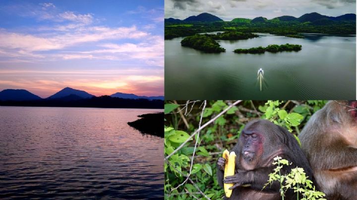 Laguna de Catemaco, una de las más grandes de México. Qué hacer y cómo llegar