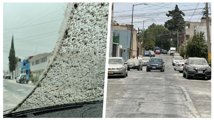 VIDEOS y FOTOS: Así las cenizas del "Popo" en Puebla; el lunes no hay clases presenciales