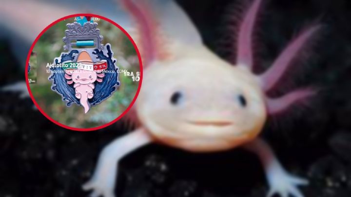 ¿Cuándo y dónde será la Carrera Ajolotito 2023? Esto sabemos