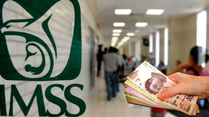 Guanajuato: Así puedes recuperar semanas cotizadas del IMSS por retiro de desempleo