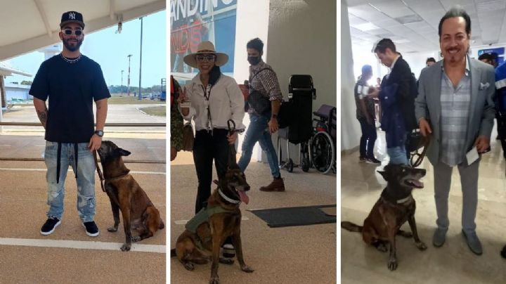 Olímpico, binomio canino de Minatitlán que tiene populares fotos con artistas