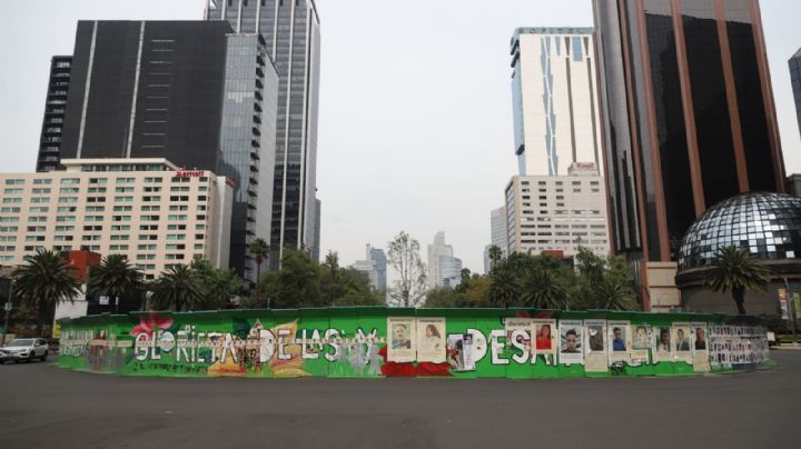 Los delitos que le achacan al sujeto que dañó al nuevo ahuehuete de la CDMX