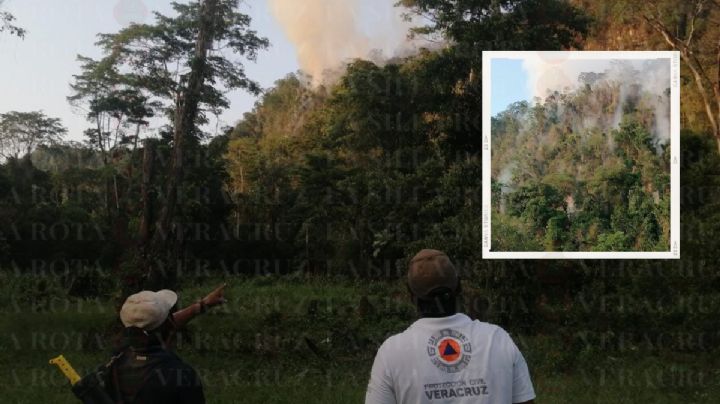 Fuerte incendio en la selva del Uxpanapa lleva 2 días sin poder ser sofocado