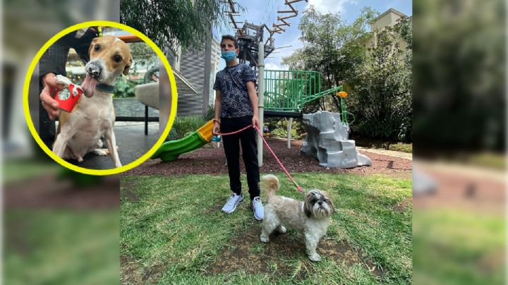 Así es la plaza comercial del Edomex que se ha convertido en un parque extremo