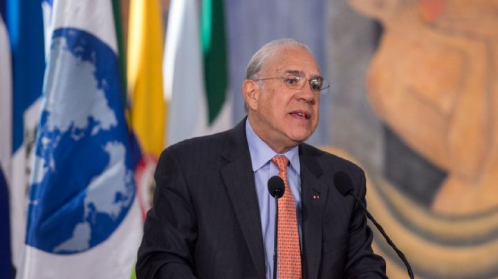 José Ángel Gurría: El economista que quiere ser presidente