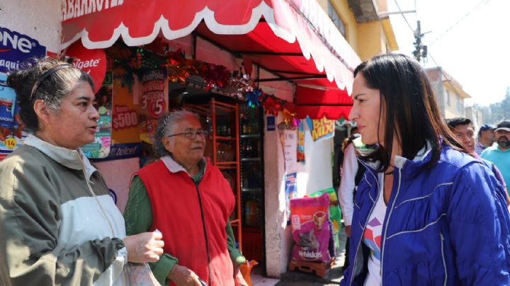 No hay mejor política social que la generación de empleos: Lía Limón