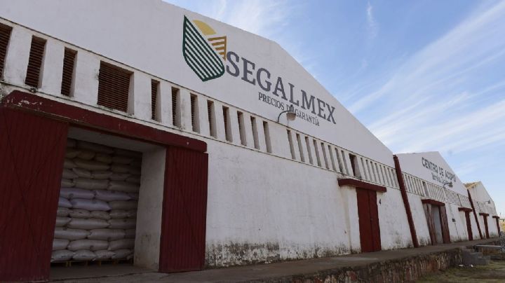 Desfalco Segalmex: Suma un nuevo implicado en actos ilícitos y con él van 18