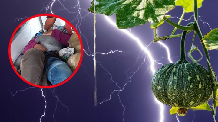 Rayo lesiona a 2 campesinos en Actopan mientras recogían calabazas