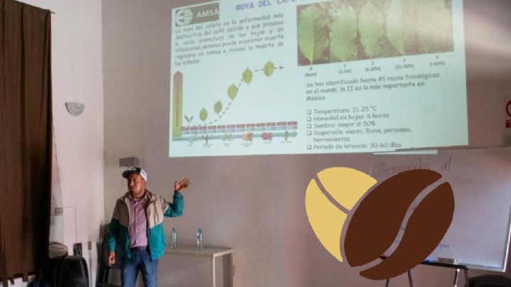 En Córdoba imparten ponencia sobre plagas y nutrición a productores de café