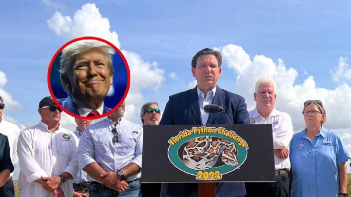 DeSantis, "el eco" de Trump, advierte que México sí pagará muro fronterizo