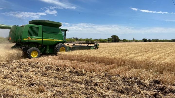 AMLO abandona y deja a la deriva al campo en el norte de México