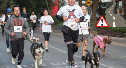 Cerrarán vialidad en bulevar de Veracruz por carrera canina. Esto debes de saber