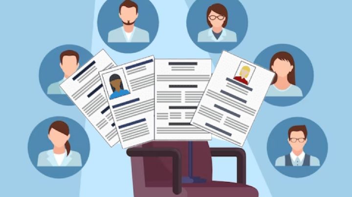 Consejos CLAVE para destacar tu CV y recibir la llamada de los empleadores, según Harvard