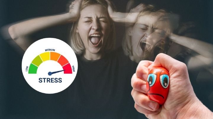 ¿Sufres de estrés y ansiedad? así puedes tratarla: SSH