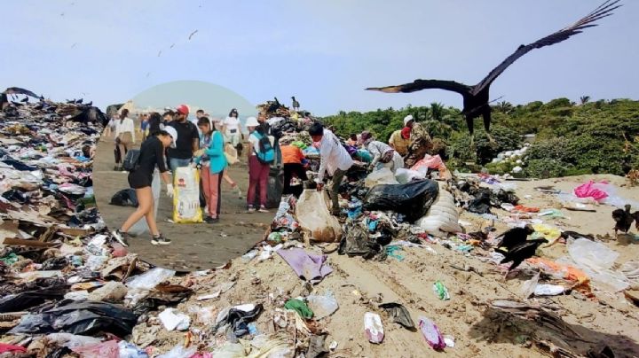 Esto proponen especialistas para reducir generación de basura en Coatzacoalcos