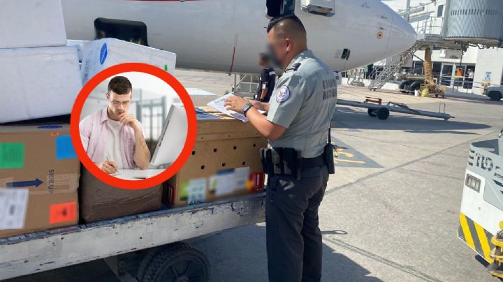 México se ubica en el top 5 a nivel mundial, de compradores por internet