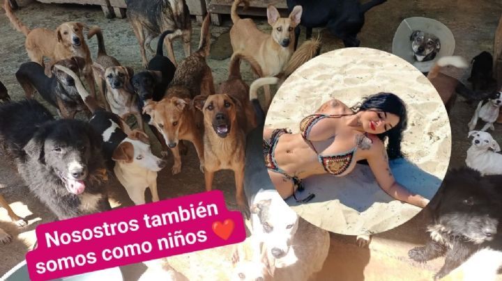 Karely Ruiz dona 25,000 mil pesos a refugio de animales en Xalapa