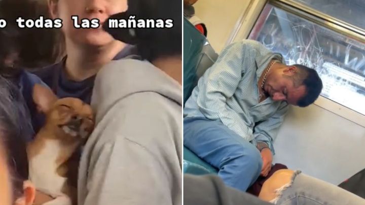 VIDEO TIKTOK: Perrito se queda dormido en Metro CDMX; señor se estrella en asientos