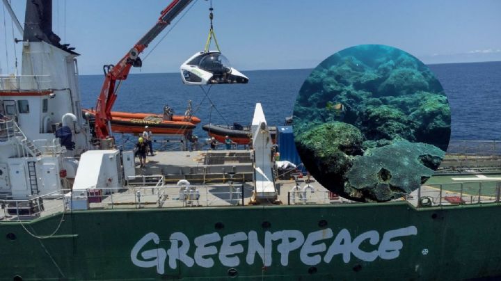 Alerta Greenpeace por gasoducto en arrecifes de Tecolutla y Tuxpan