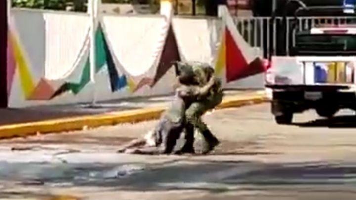 VIDEO | Abejas atacan a hombre en situación de calle; militar le salva la vida
