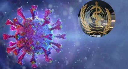 ¿Cuántos muertos hubo a nivel mundial por la pandemia de covid-19?