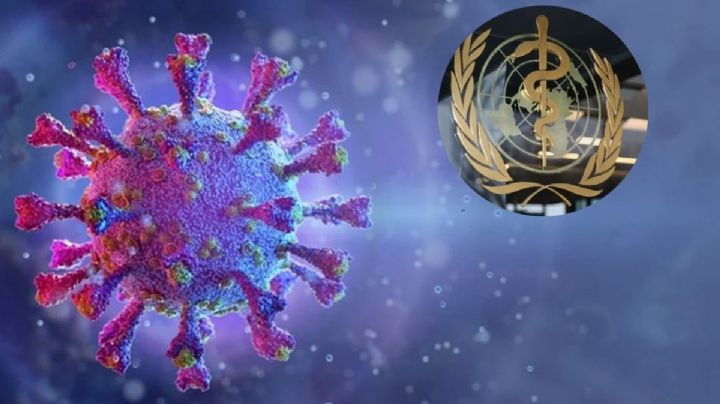 ¿Cuántos muertos hubo a nivel mundial por la pandemia de covid-19?