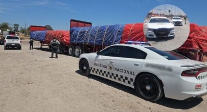 Guardia Nacional encuentra tráiler robado con 50 toneladas de maíz