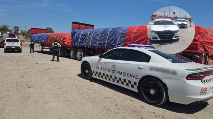 Guardia Nacional encuentra tráiler robado con 50 toneladas de maíz