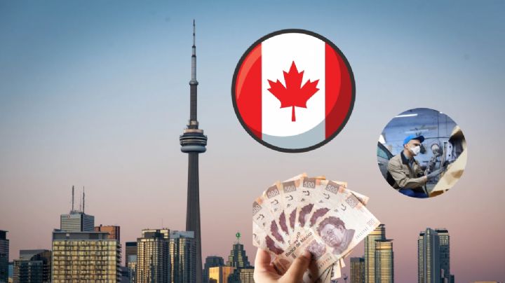 ¿Quieres ganar un sueldo de más de 30,000 pesos? Checa estas vacantes en Canadá