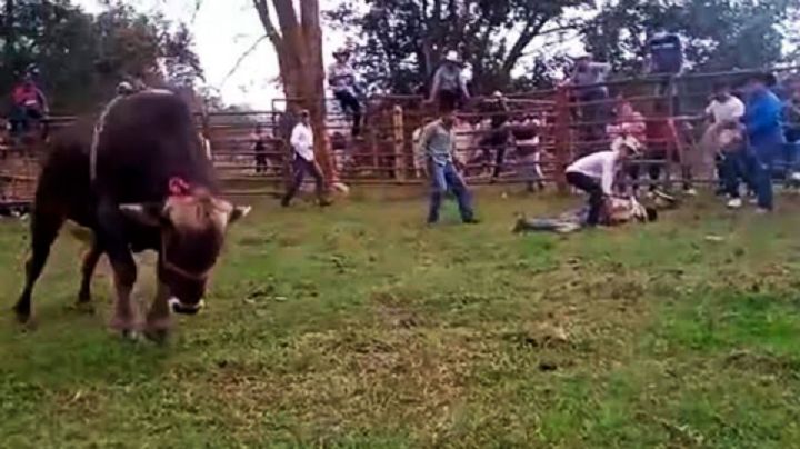 Jinete es embestido por un toro en Huejutla, resulta herido de gravedad
