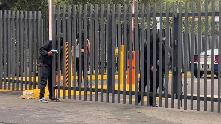 ¿Qué está pansando en CCH? Esto sabemos