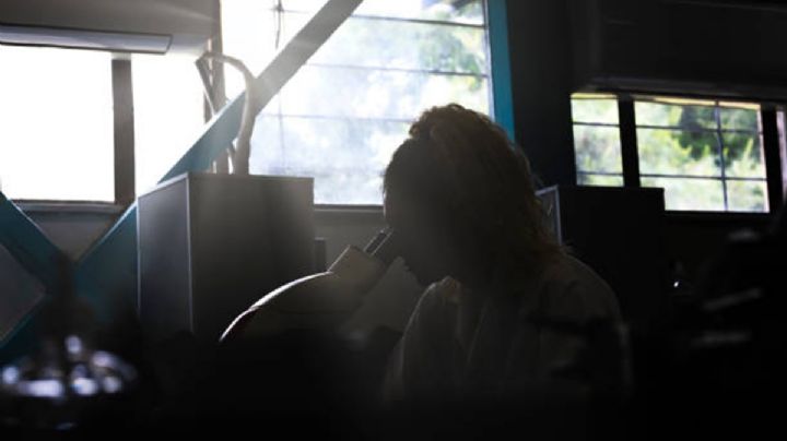 Adiós al Conacyt; “la ciencia en México está muy dañada”