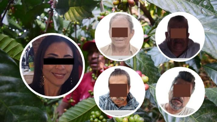 Cafetaleros de México exigen liberación de exalcaldesa y productores en Veracruz