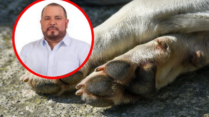 Acusan a alcalde en Yucatán de despedir a funcionaria por no apoyarlo en reelección